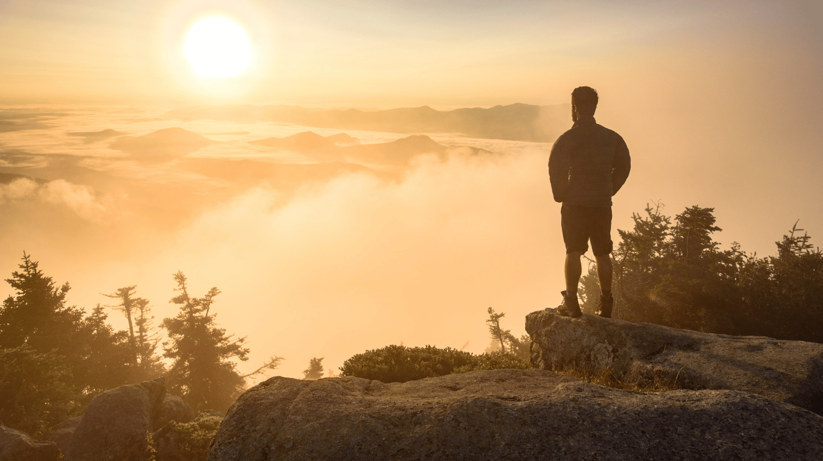 Mitovi o zdravlju koji su nas koštali zdravlja: vreme je da se vratimo prirodi